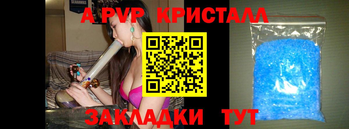 Alfa_PVP СК Сосновый Бор