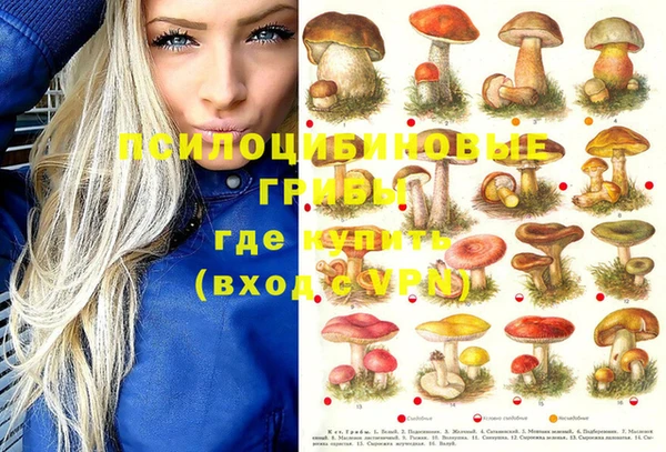MESCALINE Нефтекумск