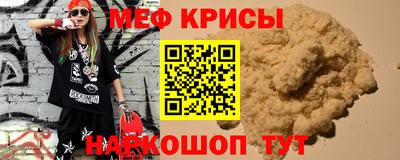 стафф Кингисепп