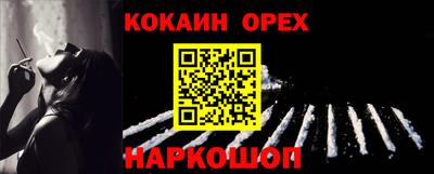 стафф Кингисепп