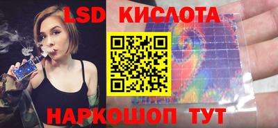 стафф Кингисепп