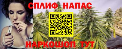 стафф Кингисепп