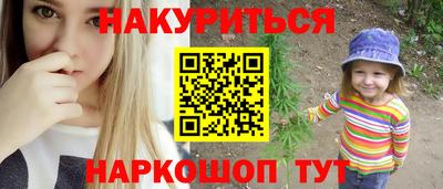 стафф Кингисепп