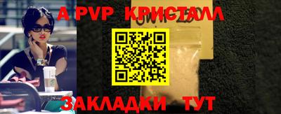 стафф Кингисепп