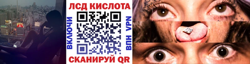 Марки N-bome 1500мкг  KRAKEN   Сосновый Бор 