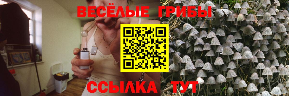 Галлюциногенные грибы Magic Shrooms  Вход с VPN  Сосновый Бор 